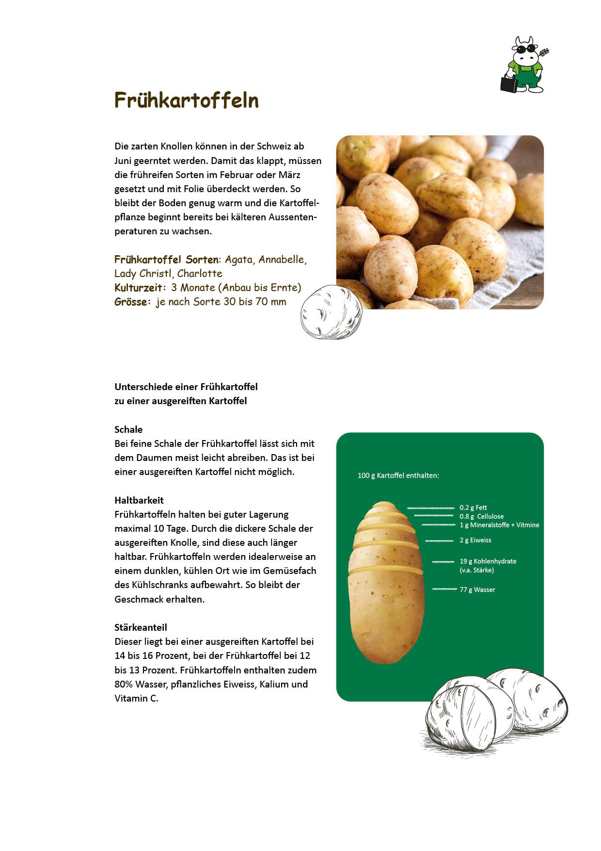 Arbeitsblatt Frühkartoffeln
