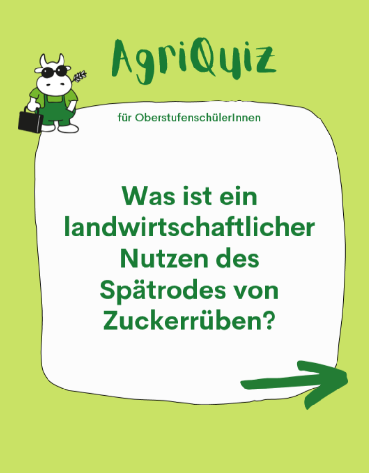 Alt Text