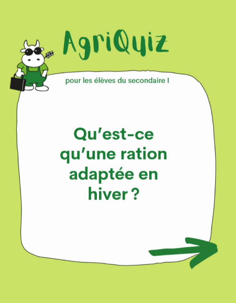 Alt Text